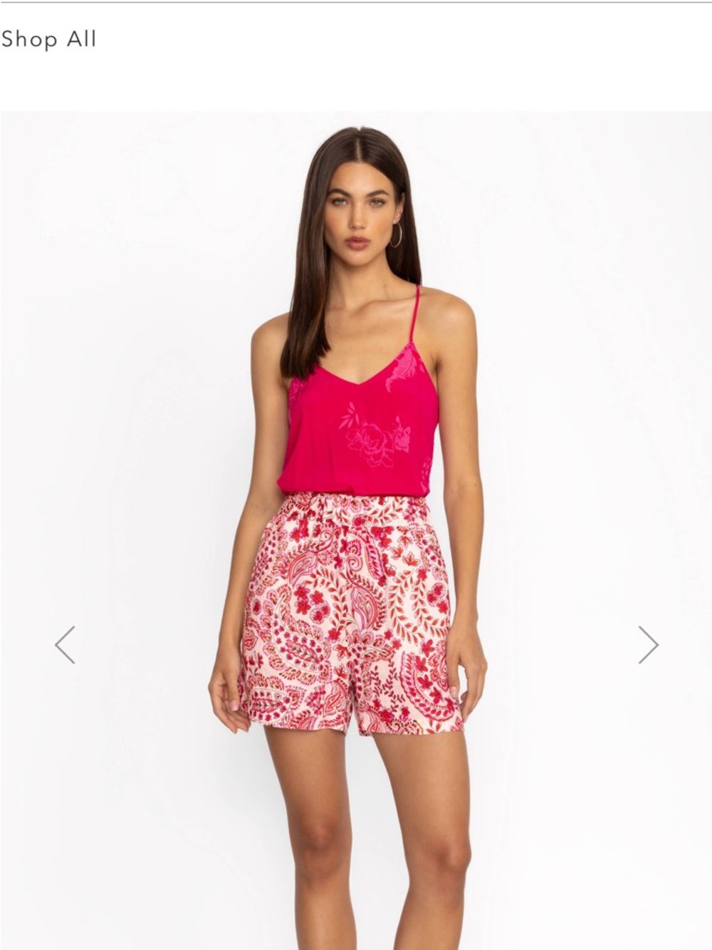 Johnny Was Workshop Lillet Linen Shorts in Lillet Paisley floral Size Medium - Picture 2 of 10